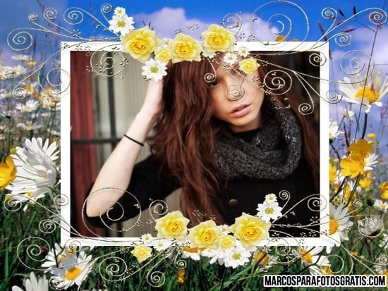 marco de flores amarillas y blancas