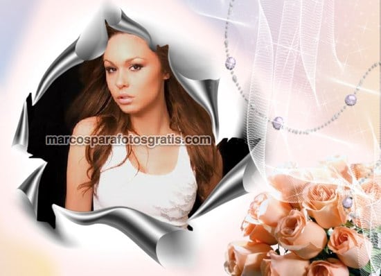 marcos de fotos de flores