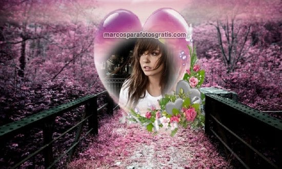 marcos de puente, flores y corazón
