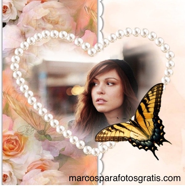 marcos_para_fotos_con_mariposas