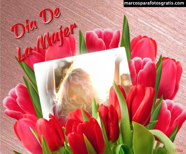 marcos día de la mujer