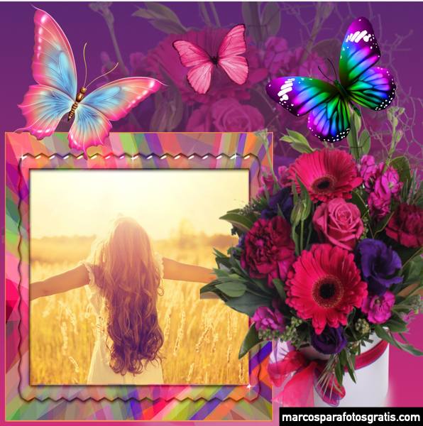 Marcos para fotos con flores y mariposas