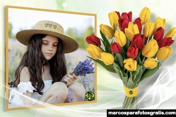 Marcos de fotos hermosos con flores gratis