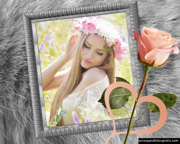 marcos gratis con rosas hermosas