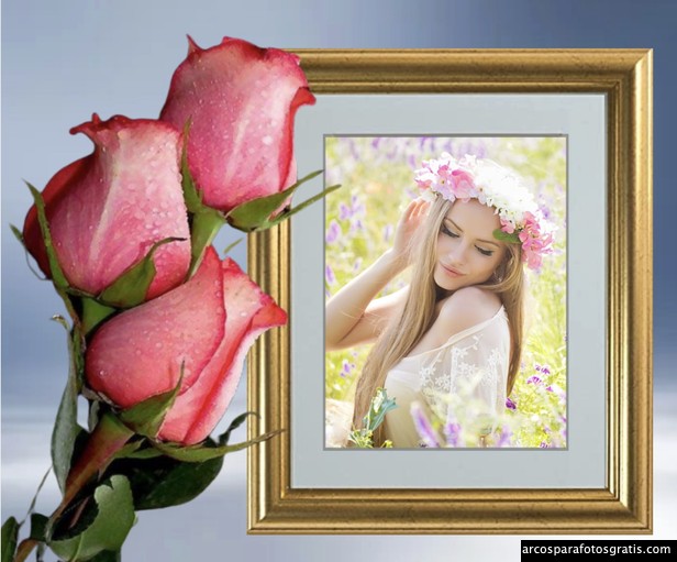 marcos gratis con rosas hermosas